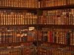 medium_bibliotheque.jpg