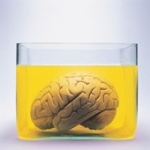 http://erelyon.blogspirit.com/images/medium_cerveau.2.jpg