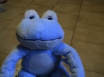 medium_grenouille_bleue.jpg