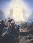 medium_transfiguration.jpg