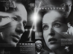 medium_x-files.jpg
